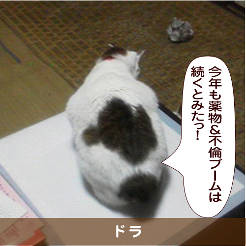 20170120_touko.jpg