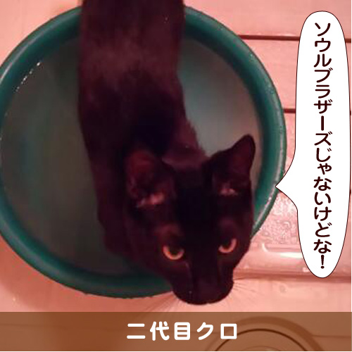 20170127_touko.jpg