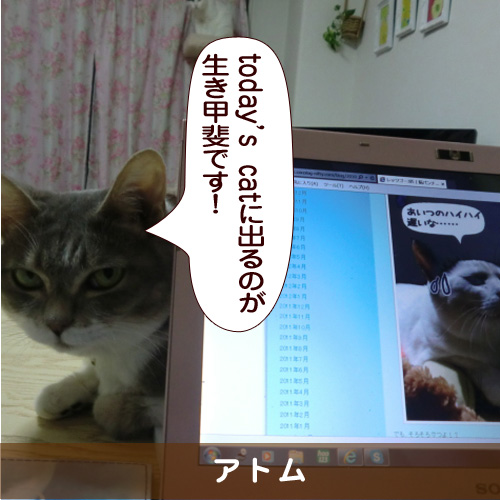 20170129_touko.jpg