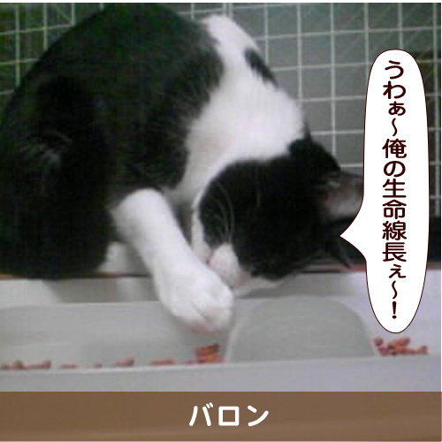 20170130_touko.jpg