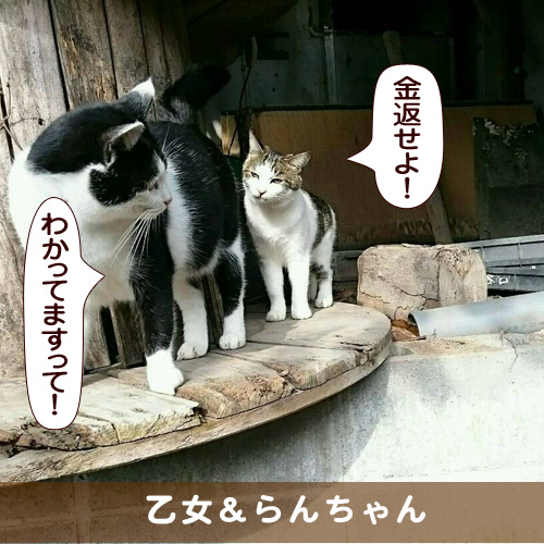 20170204_touko.jpg