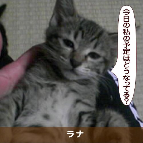 20170205_touko.jpg
