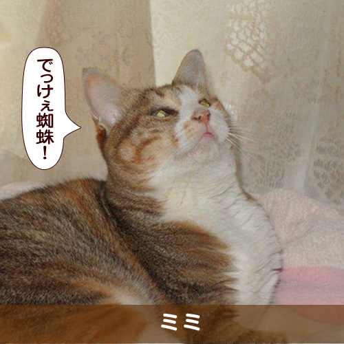 20170207_touko.jpg