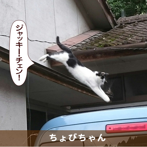 20170208_touko.jpg