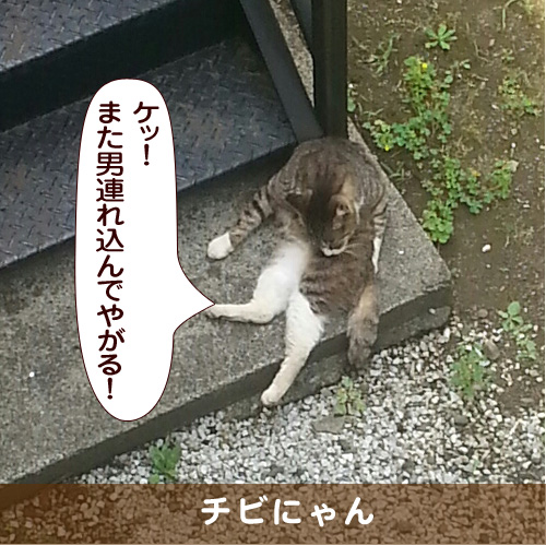 20170209_touko.jpg