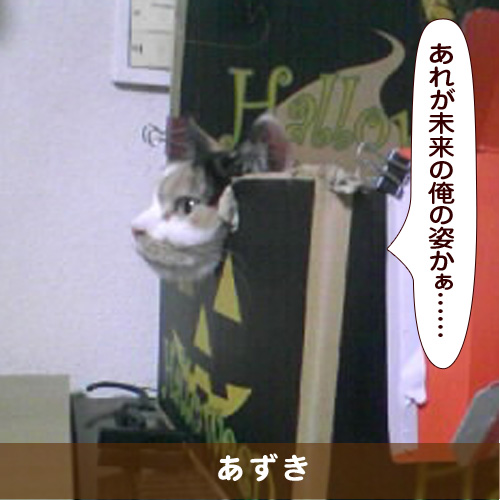 20170210_touko.jpg