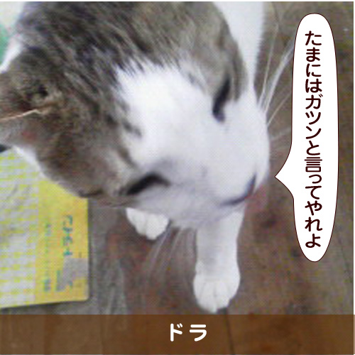 20170211_touko.jpg