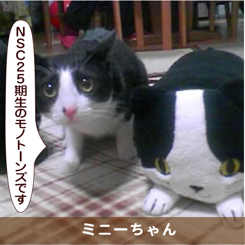 20170212_touko.jpg