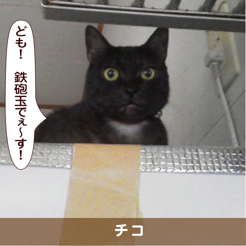 20170215_touko.jpg