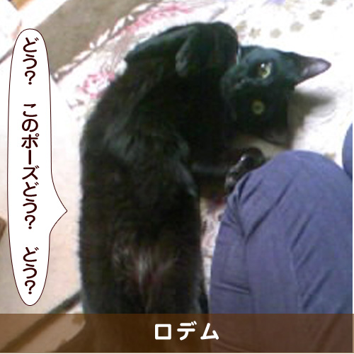 20170216_touko.jpg