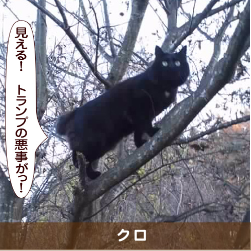 20170217_touko.jpg