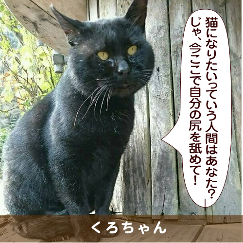 20170218_touko.jpg