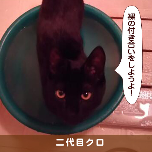 20170225_touko.jpg