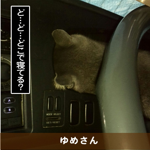 20170226_touko.jpg