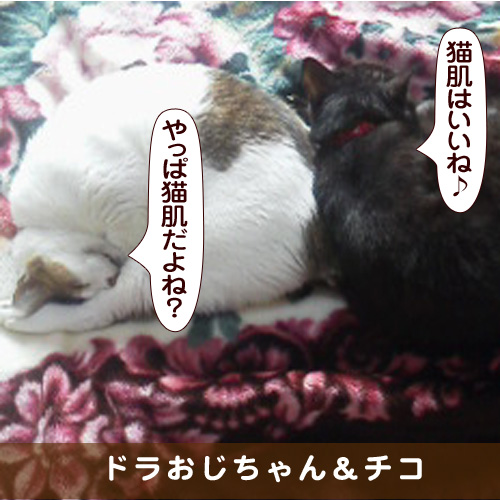 20170228_touko.jpg
