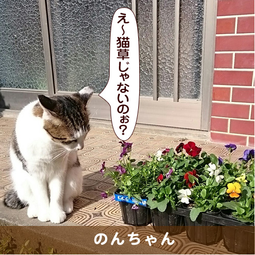 20170304_touko.jpg