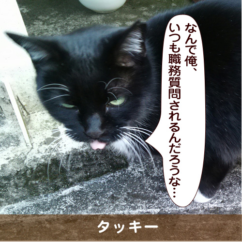 20170305_touko.jpg