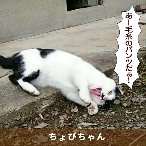 20170307_touko.jpg