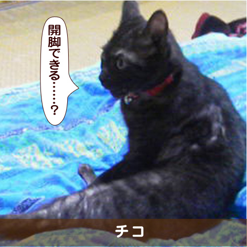 20170308_touko.jpg