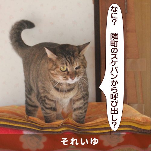 20170309_touko.jpg