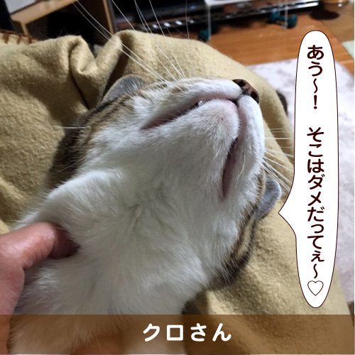 20170310_touko.jpg