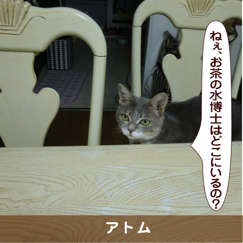 20170311_touko.jpg