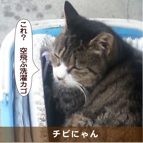 20170312_touko.jpg