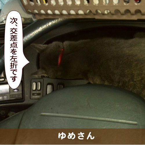 20170313_touko.jpg