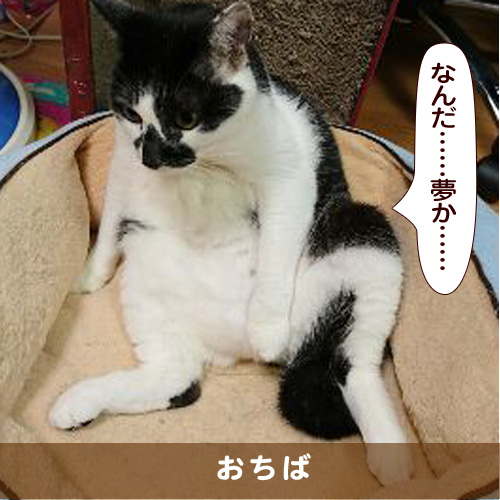 20170315_touko.jpg