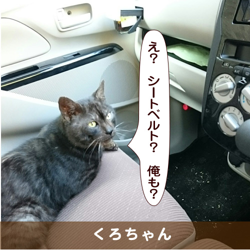 20170316_touko.jpg