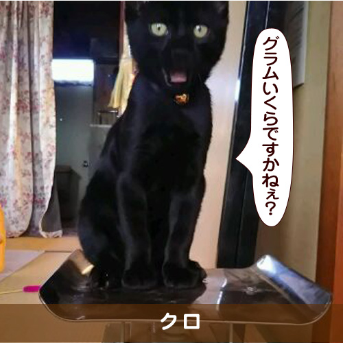 20170318_touko.jpg