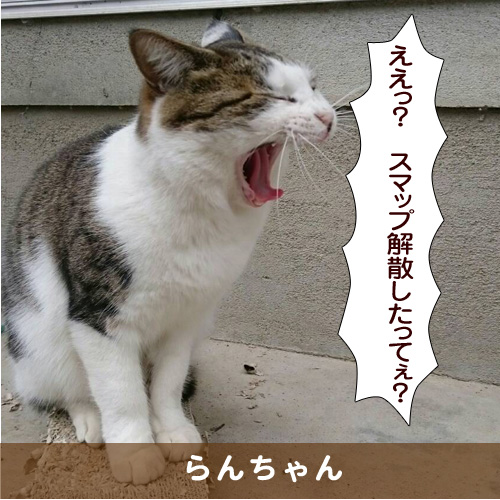 20170319_touko.jpg
