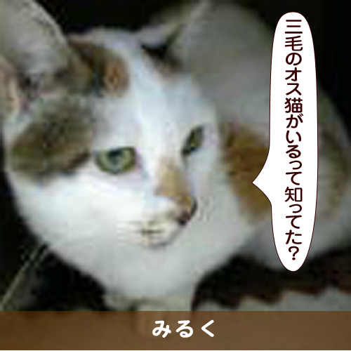 20170325_touko.jpg