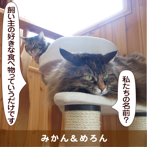 20170329_touko.jpg