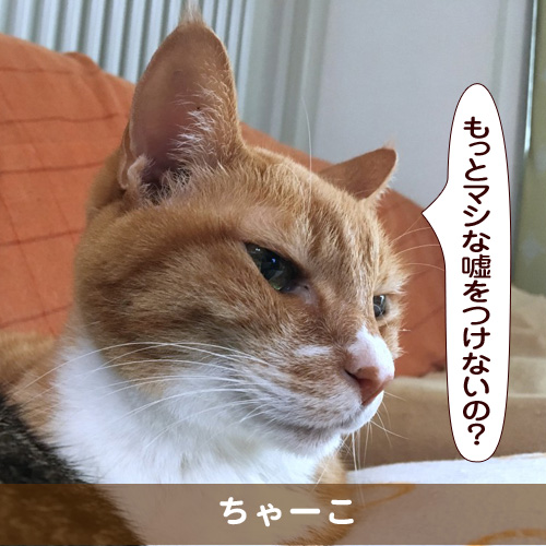 20170401_touko.jpg
