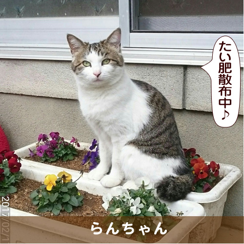20170404_touko.jpg