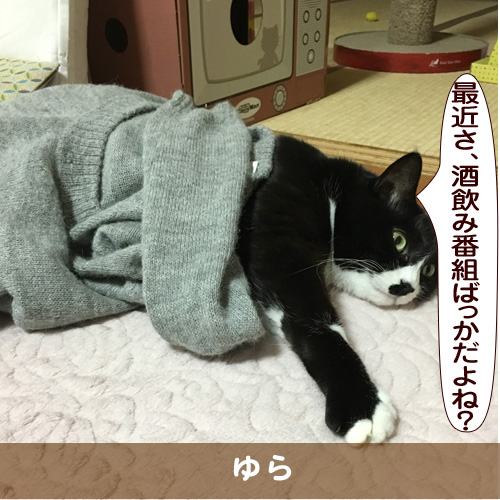 20170407_touko.jpg