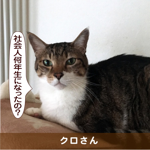 20170408_touko.jpg