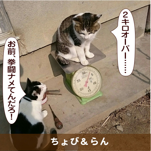 20170410_touko.jpg
