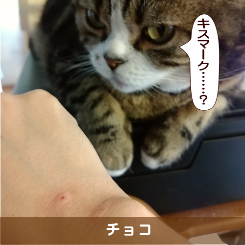 20170412_touko.jpg