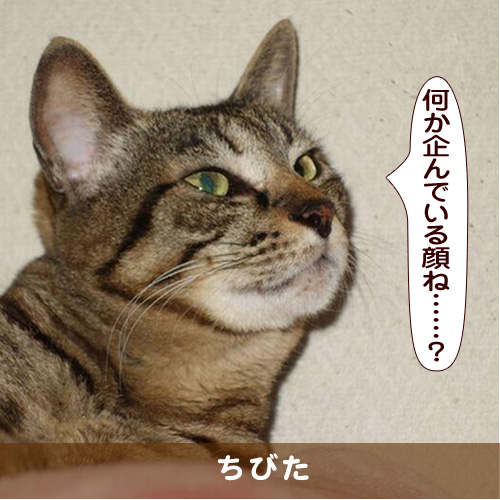 20170414_touko.jpg
