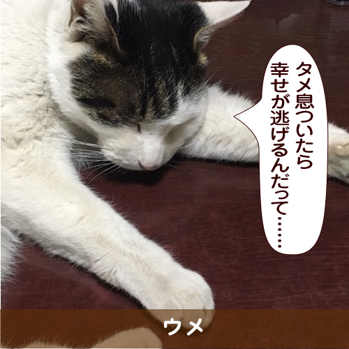 20170416_touko.jpg