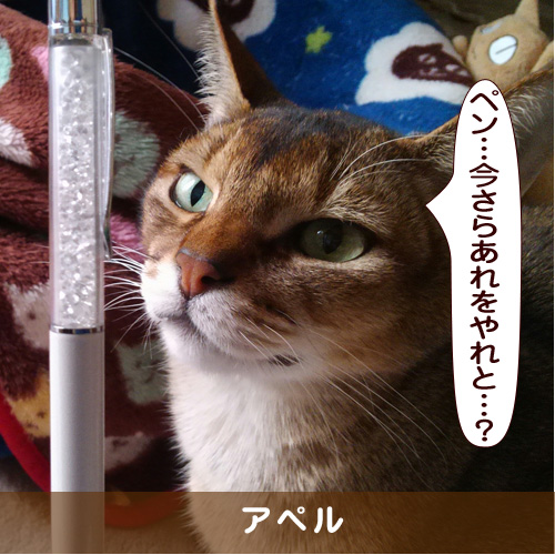 20170418_touko.jpg