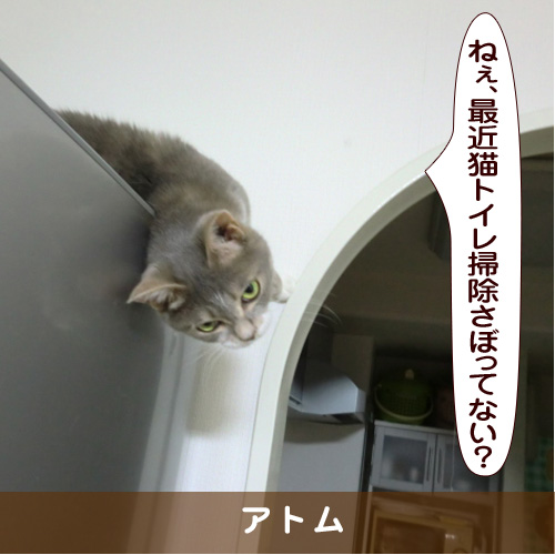 20170419_touko.jpg