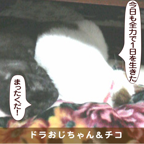20170426_touko.jpg