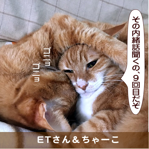 20170427_touko.jpg