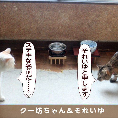 20170430_touko.jpg