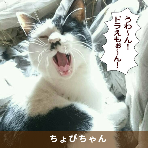 20170504_touko.jpg