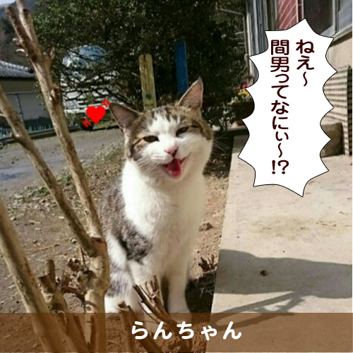 20170505_touko.jpg