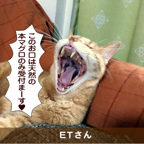 20170507_touko.jpg